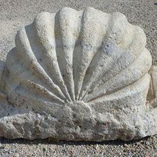 Shell Stone 5